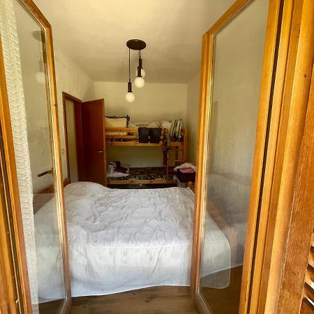 Apartment Olive Grove Izola Bagian luar foto