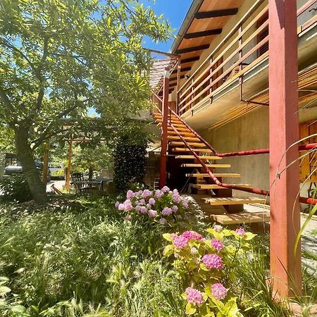 Apartment Olive Grove Izola Bagian luar foto